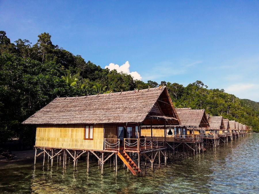 http://test.tecs-reisen.de/Papua Explorers Eco Resort