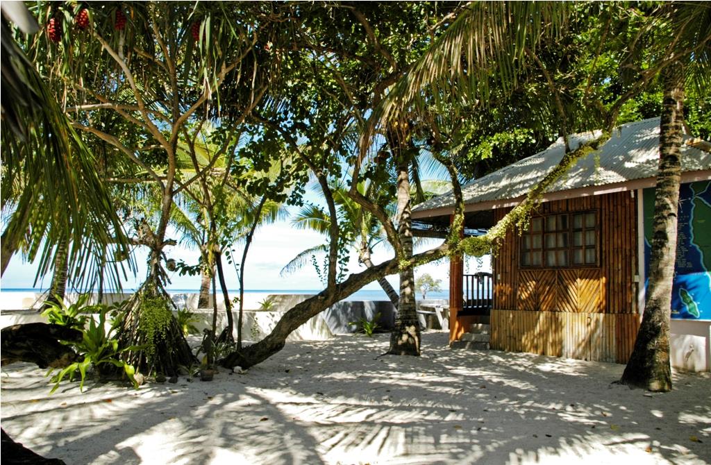 http://test.tecs-reisen.de/Southern Leyte Divers & Resort